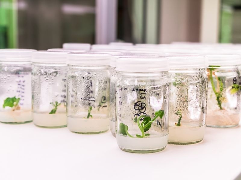 Bandeau actu comment choisir un détergent pour cosmétique bio (1)