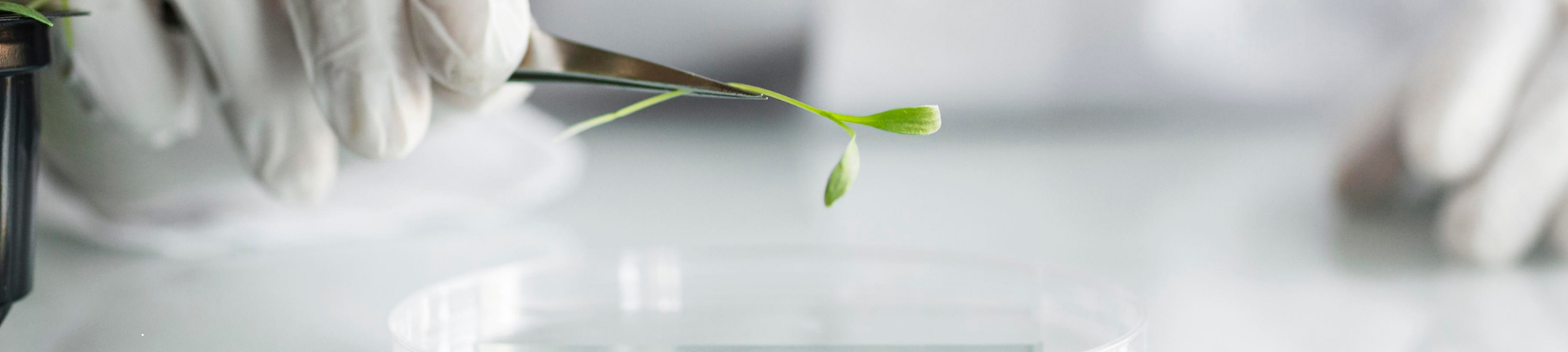 Glossaire des détergents biosourcés