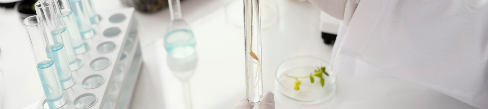 Idée reçue sur les produits biosourcés