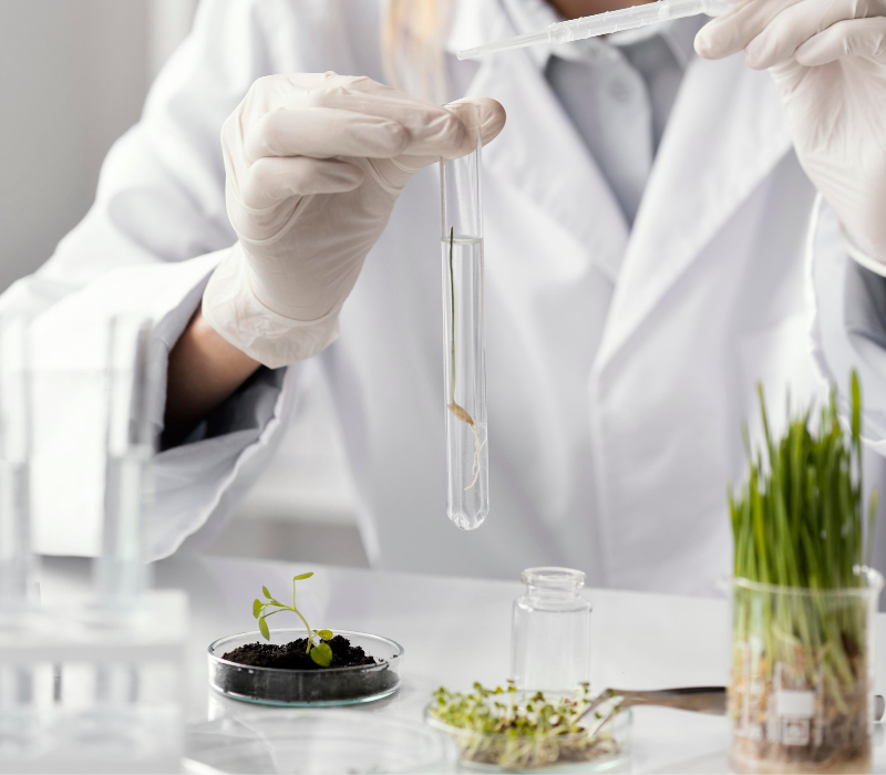 La performance des produits biosourcés (1)