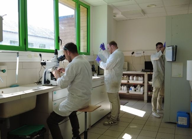 informations pratiques webinaire cosmétique